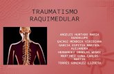 TRM Tratamiento raquimedular