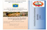 Investigación de Áreas Degradas Por Minería en El Distrito Minero (2)