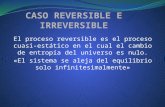 Caso Reversible e Irreversible
