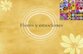 Flores y Emociones