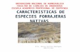 CARACTERISTICAS DE ESPECIES FORRAJERAS NATIVAS.ppt