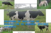 Programas Medicina de Produccion en Rebaños Bovinos Apure 2015