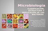 1 Estructura y Clasificación de Bacterias