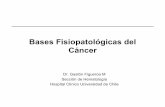 Bases Fisiopatologicas Del Cancer 2012 - Copia.ppt