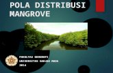 Pola Distribusi Mangrove Fix