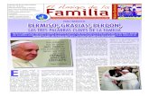 EL AMIGO DE LA FAMILIA domingo 24 mayo 2015.pdf