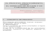 Derecho Procesal IV - 2