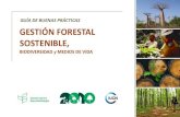 Gestion Forestal Sostenible