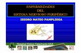 Presentacion Patologias Del SNP- Sm