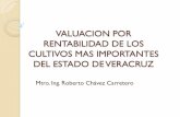 Valuacion Por Rentabilidad Cultivos Veracruz