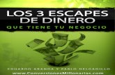 Los 3 Escapes de Dinero Que Tiene Tu Negocio