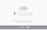 SEDESOL Primer Informe Trimestral 2015