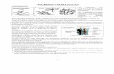 Guia Polimeros y Biomoleculas.pdf