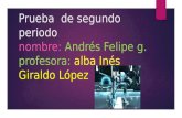 PRUEBA DE PERIODO N° 2 Andres Felipe G.