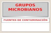 Grupos Microbianos Yfuentes de Contaminacion de Los Alimentos