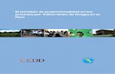 El Principio de Proporcionalidad en Los Procesos Por Tráfico Ilícito de Drogas en El Perú - CIDDH-CEDD (1)