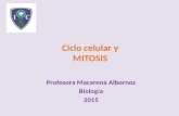 Ciclo Celular y Mitosis (2)