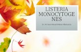 10 Listeria Monocytogenes