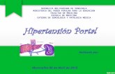Hipertension Portal