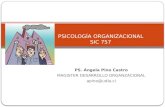 PSICOLOGIA ORGANIZACIONAL Ppt2. Estructura