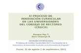 El PROCESO DE  INNOVACIÓN CURRICULAR DE LAS UNIVERSIDADES  DEL CONSEJO DE RECTORES  (CRUCH) CHILE