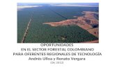 Oportunidades en El Sector Forestal e Industrial Maderero 2