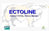 Ectoline Breve