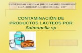 Contaminacionde productos lacteos por salmonella