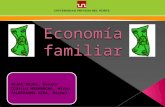 Economía Familiar, Ingreso y Gastos
