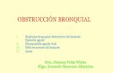 12. Obstrucción bronquial.pdf