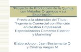 Proyecto de Producción de la Quinua con Métodos Orgánicos y su Exportación 8072