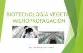 Biotecnología Vegetal - Micropropagación