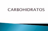 Semana 6 Carbohidratos (Uap)