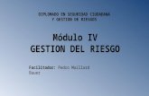 Diplomado Gestión Del Riesgo Módulo IV