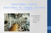 Reactor Batch y RTA continuo