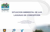 Situacion Ambiental Lagunas de Concepción OParra