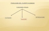 3º ESO - BIOLOGIA - Fisiologia de Cuerpo Humano