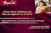 Idea de Negocio en El Peru