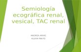 Semiologia Ecografia Renal, Vesical, Tac Renal