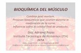 Bioquímica de los músculos.pdf