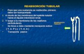 Reabsorcion Tubular.