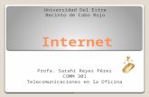 Internet COMM 301