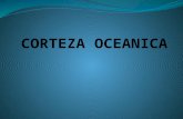CORTEZA OCEANICA