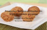 Productos Nativos Utilizados en La Gastronomía Peruana Manuel