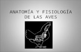 Anatomía y Fisiología de Las Aves