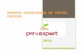 Presentacion de proyecto pro export