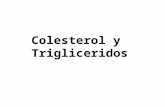 Colesterol y Trigliceridos