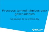 05 F1 Gases Ideales 2012