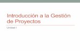 Introducción a la Gestión de Proyectos.pdf