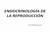 Endocrinología de La Reproducción - Copia